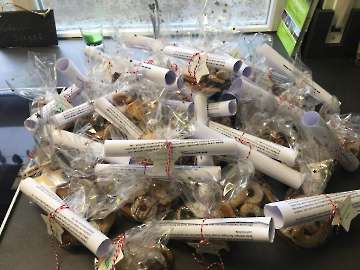 IMG-20201205-WA0005
