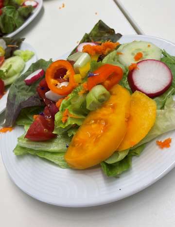 Bunter Salat