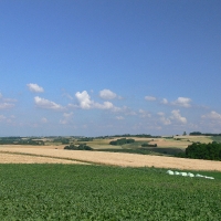 Gemarkung Eschelbach