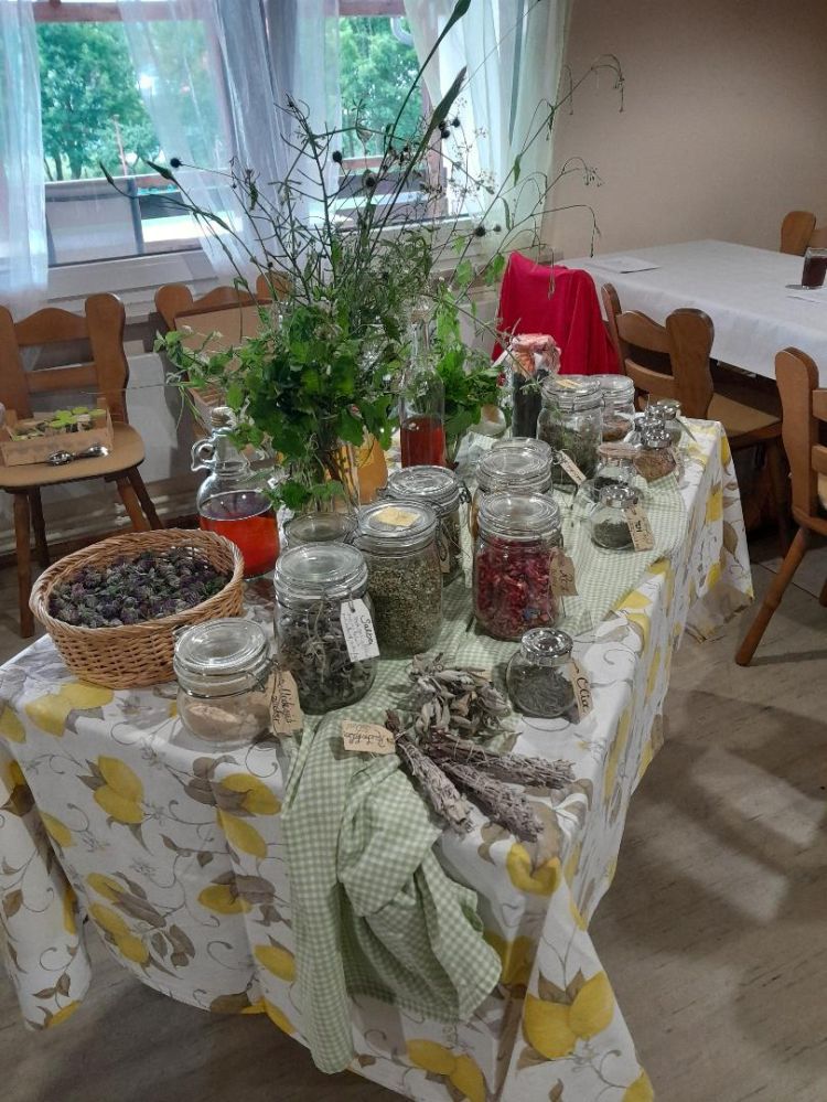 Kräutervortrag1