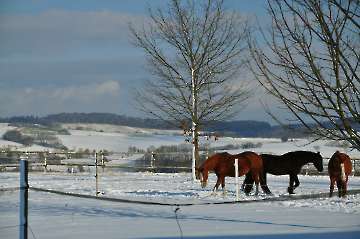 Winterstimmung