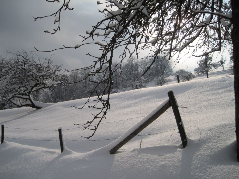 Schneedecke