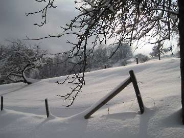 Winterlandschaften