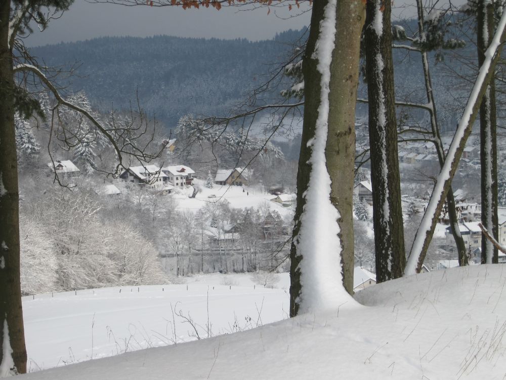 Schneelandschaft
