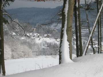 Schneelandschaft