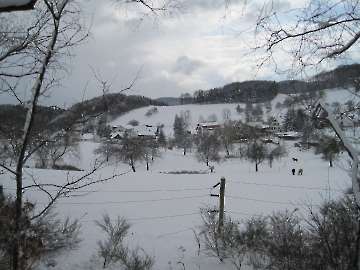 Ponys im Schnee
