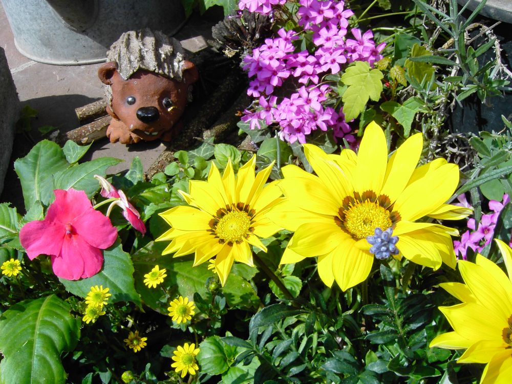 Blumenarangement mit Igel
