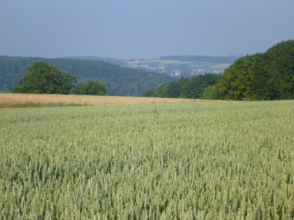 Landschaft
