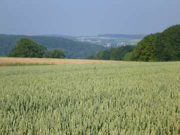 Landschaft