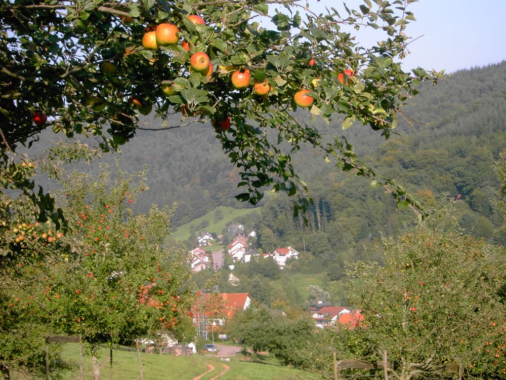 Steinachtal