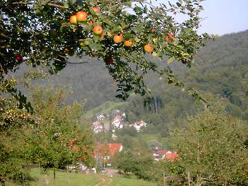 Steinachtal