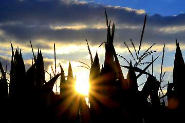 Abendstimmung