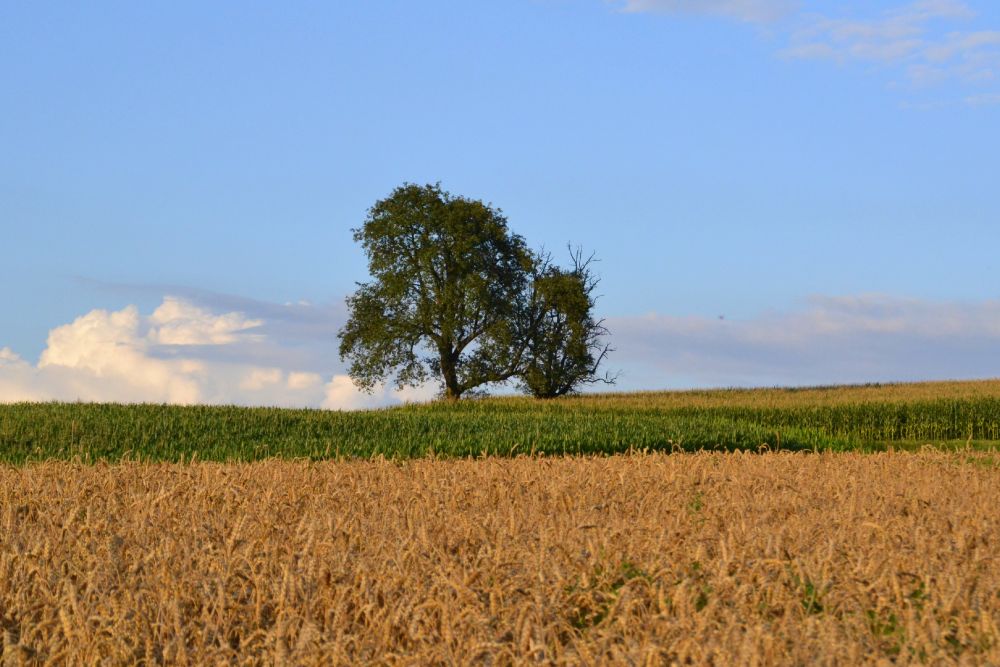 Kulturlandschaft