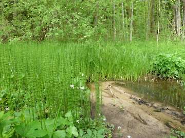 Naturschutzgebiet