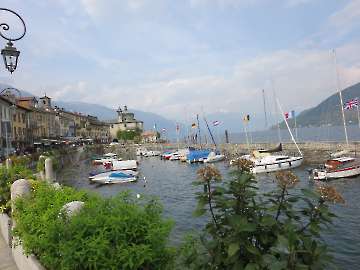 wieder zurück am Lago Maggiore