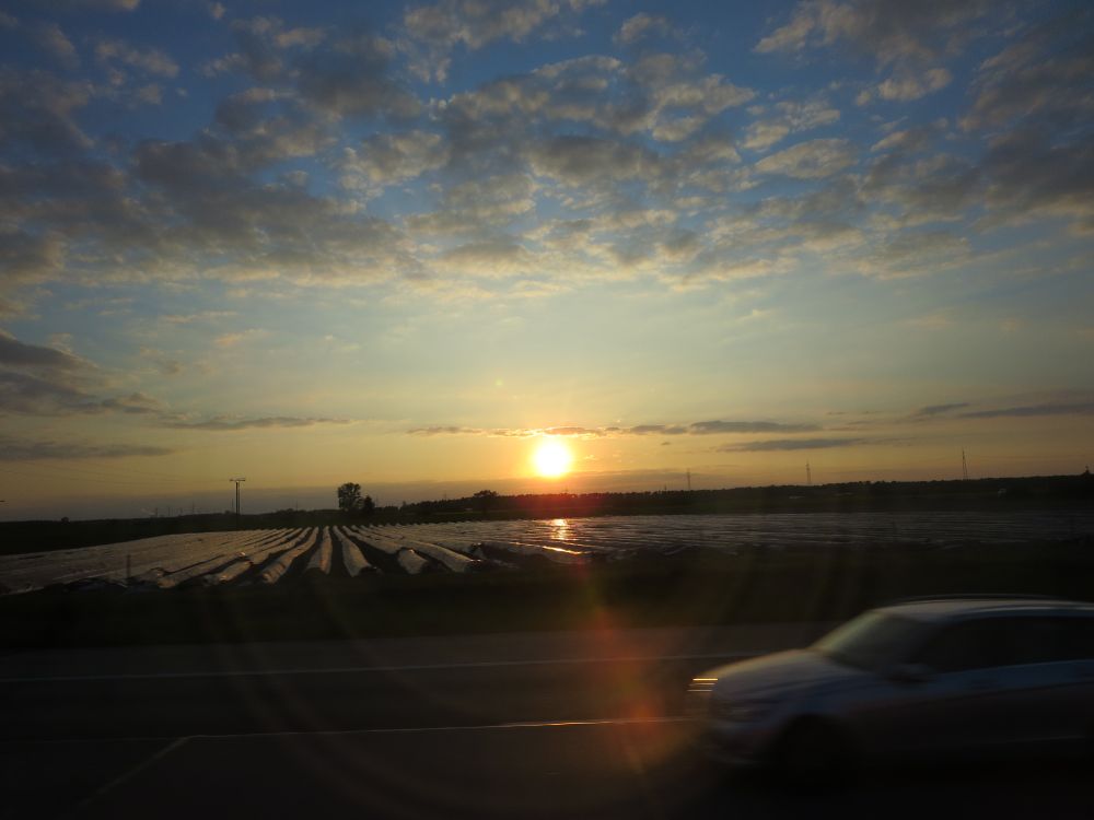 Sonnenuntergang mit Spargelfelder entlang der Autobahn bei Heidelberg