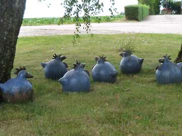 Garten Frau Hauk 11.6.14 007