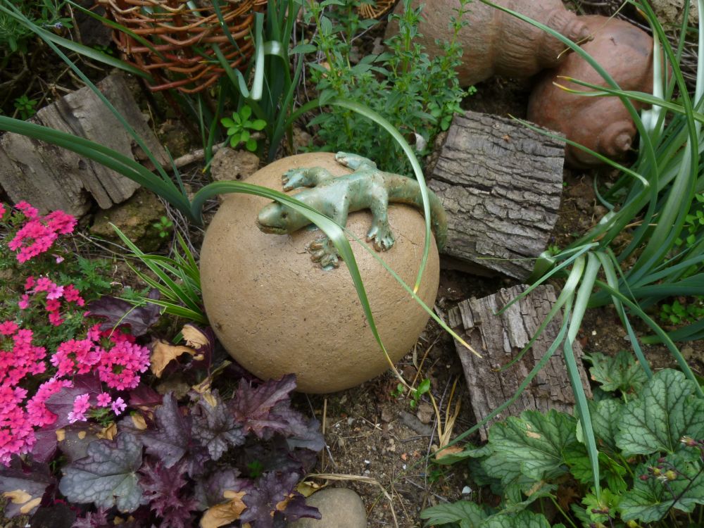 Garten Frau Hauk 11.6.14 010