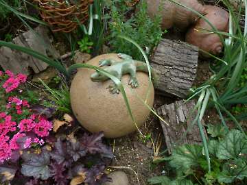 Garten Frau Hauk 11.6.14 010