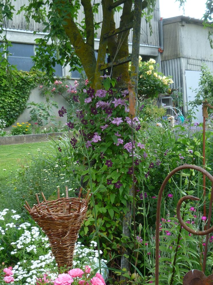 Garten Frau Hauk 11.6.14 024