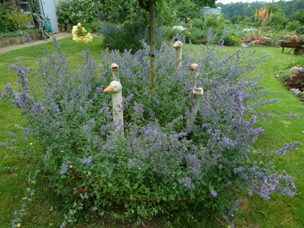 Garten Frau Hauk 11.6.14 029
