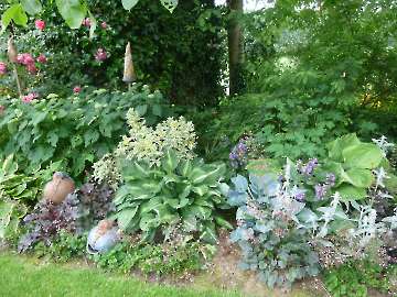 Garten Frau Hauk 11.6.14 037