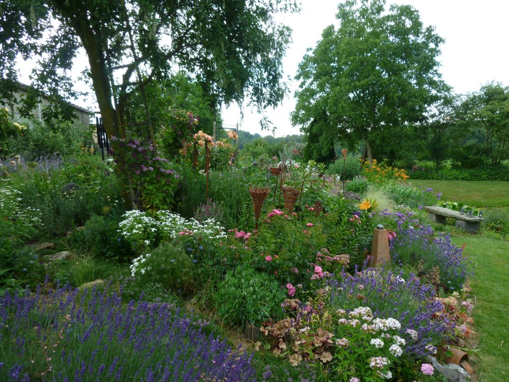 Garten Frau Hauk 11.6.14 040
