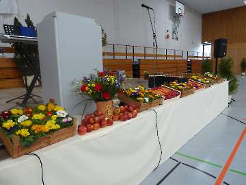 Landfrauentag 2015 in dossenheim 005