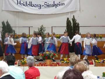 Landfrauentag 2015 in dossenheim 035
