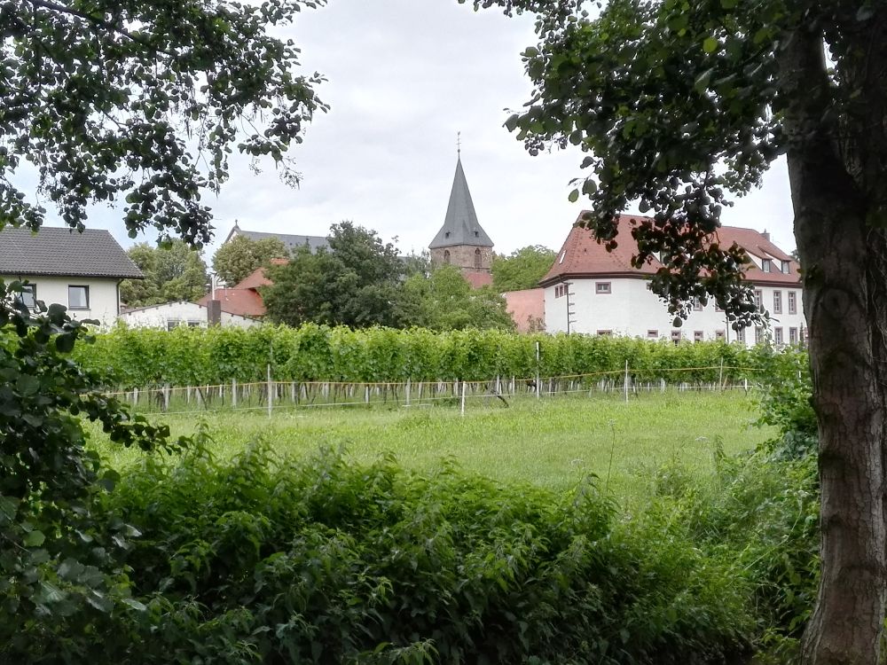 Ausflug in die Pfalz