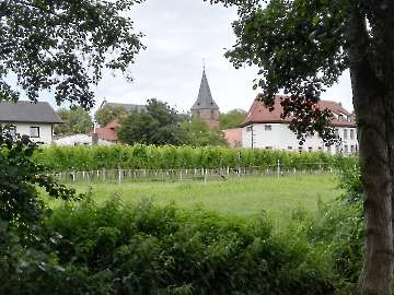 Ausflug in die Pfalz