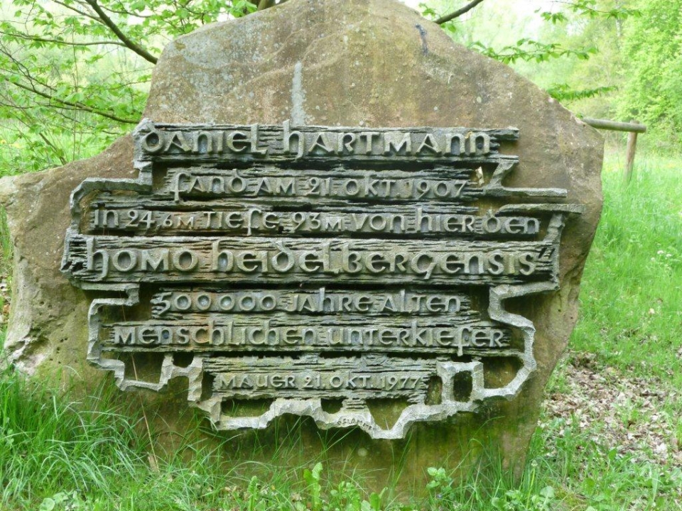 Gedenkstein Homo Heidelbergensis
